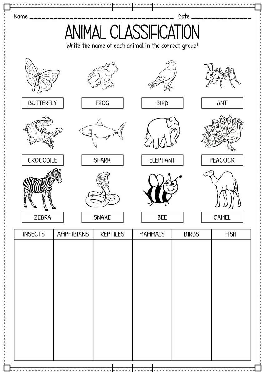15 Engaging Animal Classification Worksheets For Preschoolers 15 Engaging Animal Classification Worksheets For Preschoolers