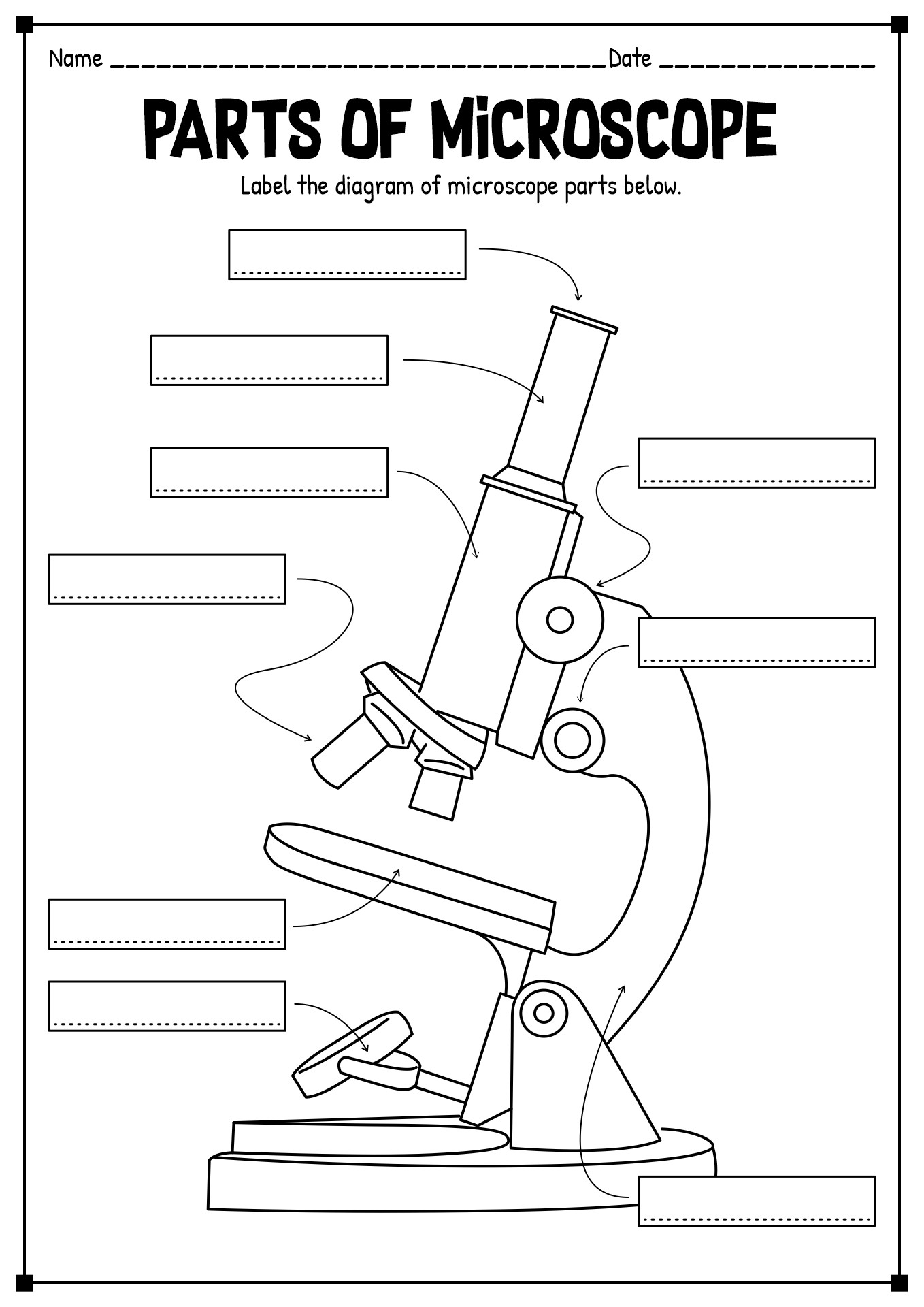 15 Printable Microscope Worksheet Free PDF At Worksheeto Worksheets Library