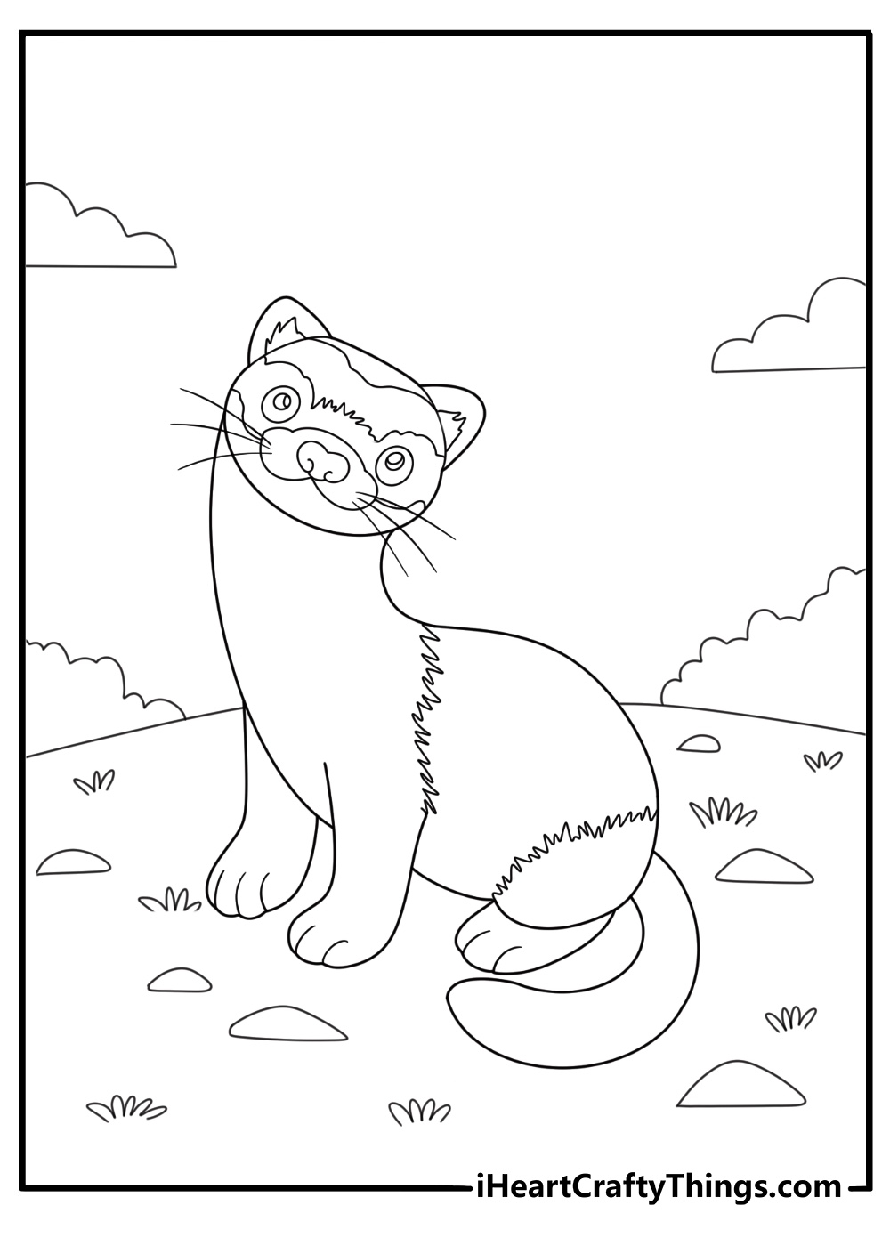 26 Free Ferret Coloring Pages For Kids 26 Free Ferret Coloring Pages For Kids
