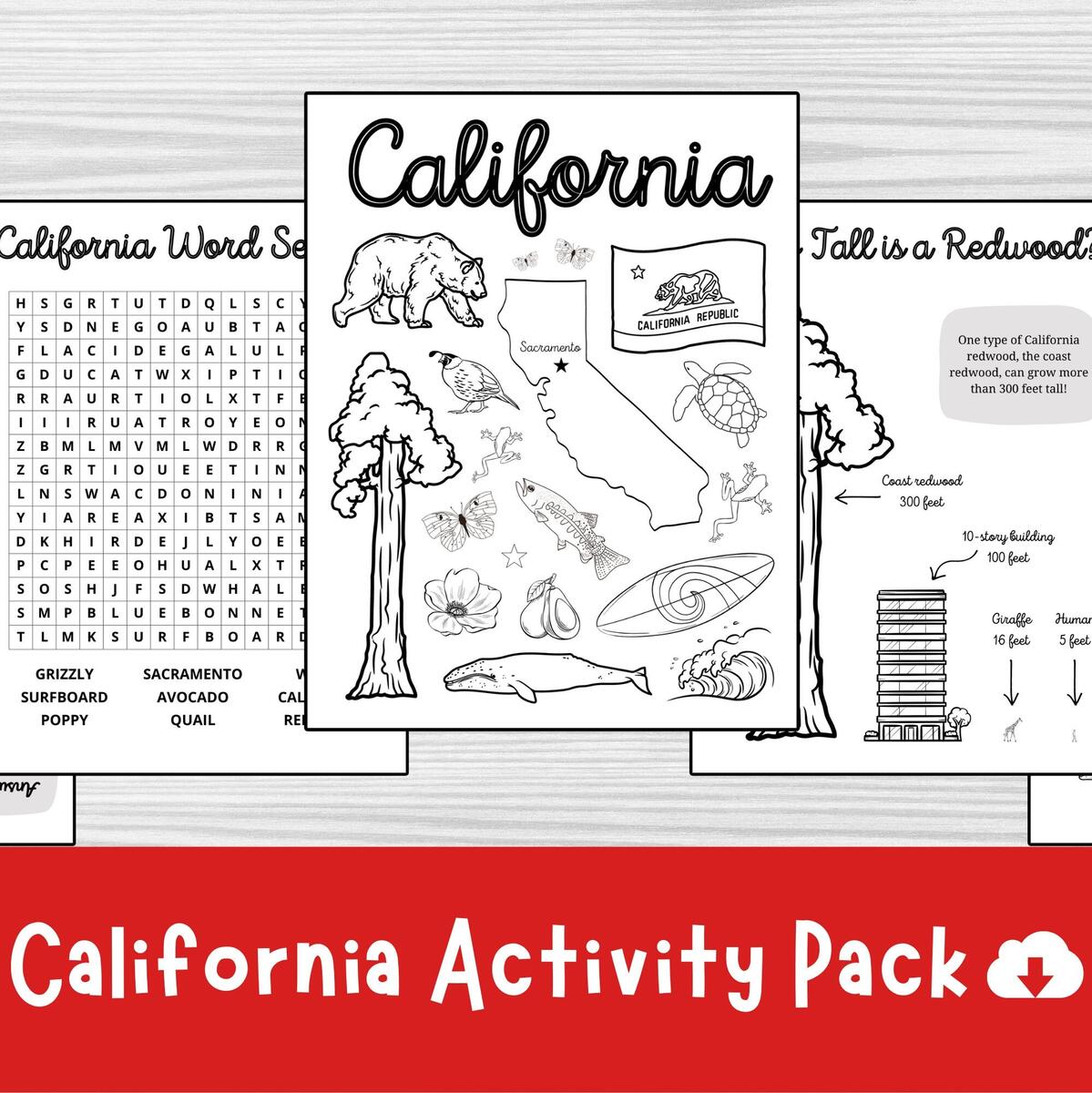 California Activity Pack State Symbols Trivia And Word Search Printable PDF Etsy Exploring The United States Puzzles Activities And Map Work Volume 4 Made By Teachers