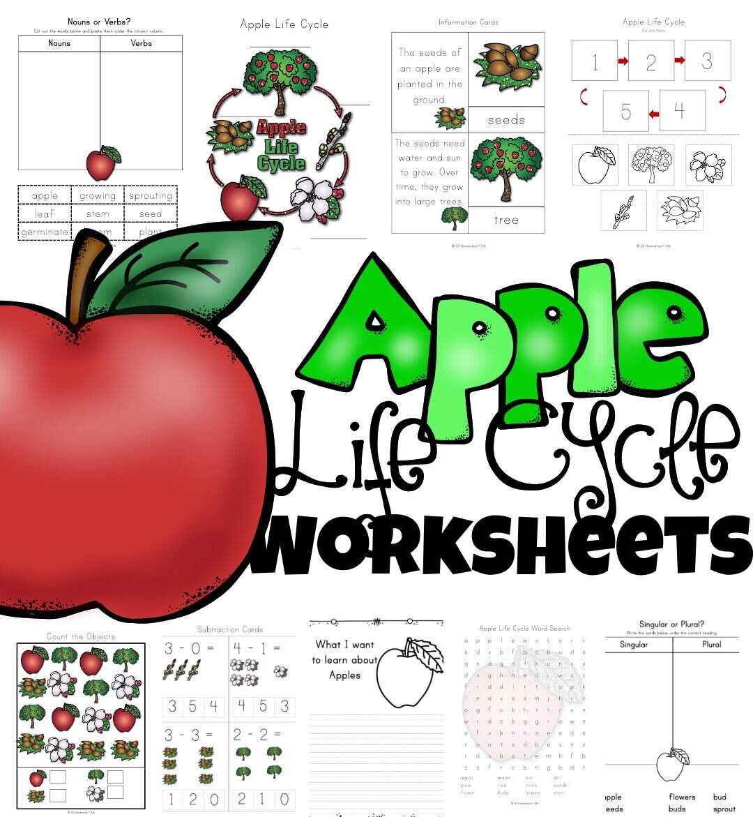 FREE Apple Life Cycle Printable Worksheets