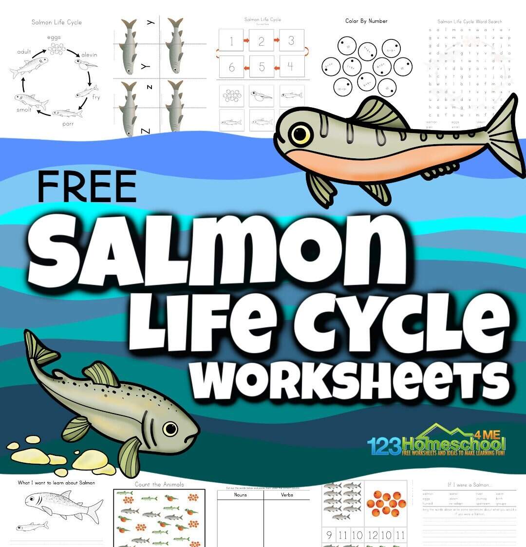 FREE Printable Salmon Life Cycle Worksheet For Kids
