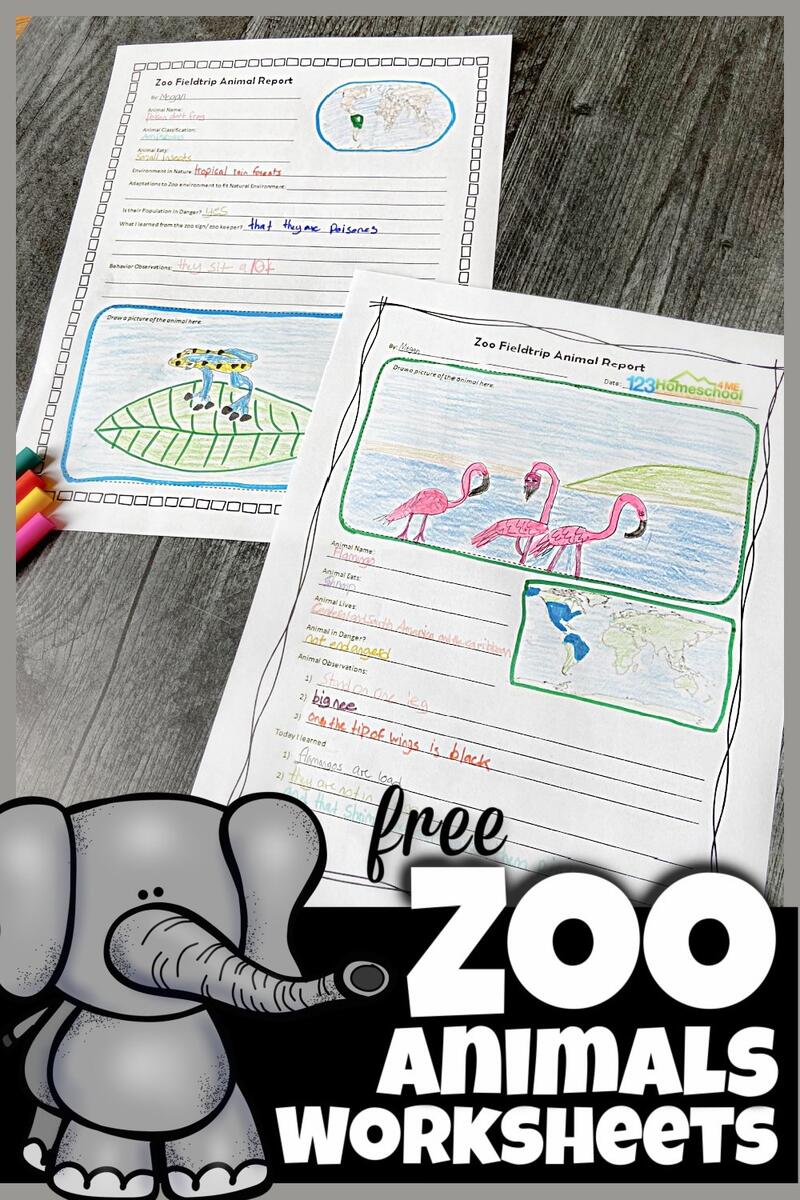 FREE Zoo Field Trip Worksheet And Animal Reports