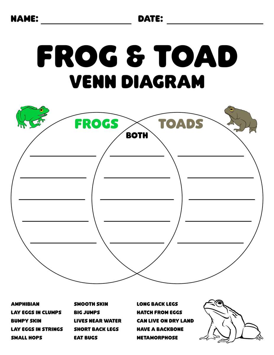 Frog Toad Together Read Aloud Book Study Companion Reading Comprehension Worksheets Classful