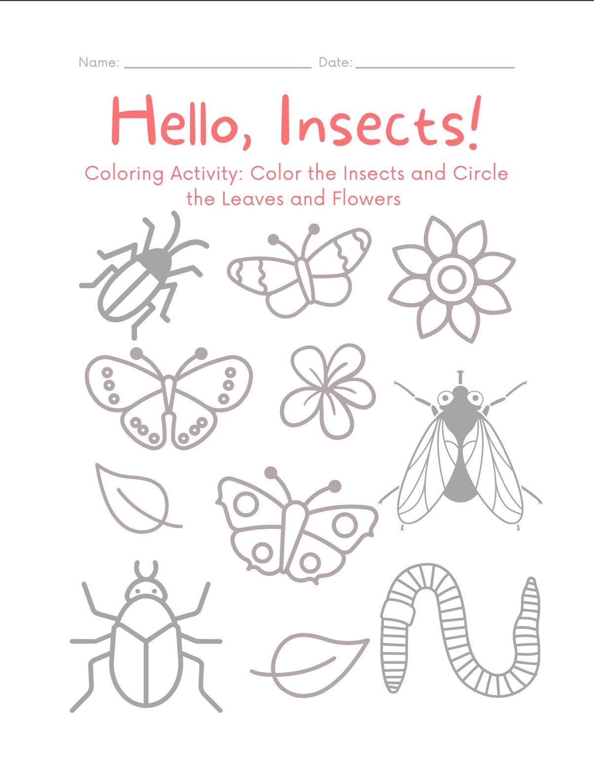 Insect Coloring Worksheet Nature Worksheet Insect Home School Summer School Activity Etsy Insect Coloring Worksheet Nature Worksheet Insect Home School Summer School Activity Etsy