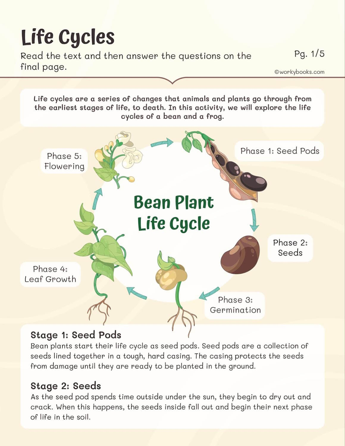 Life Cycles Worksheets Workybooks Life Cycles Worksheets Workybooks