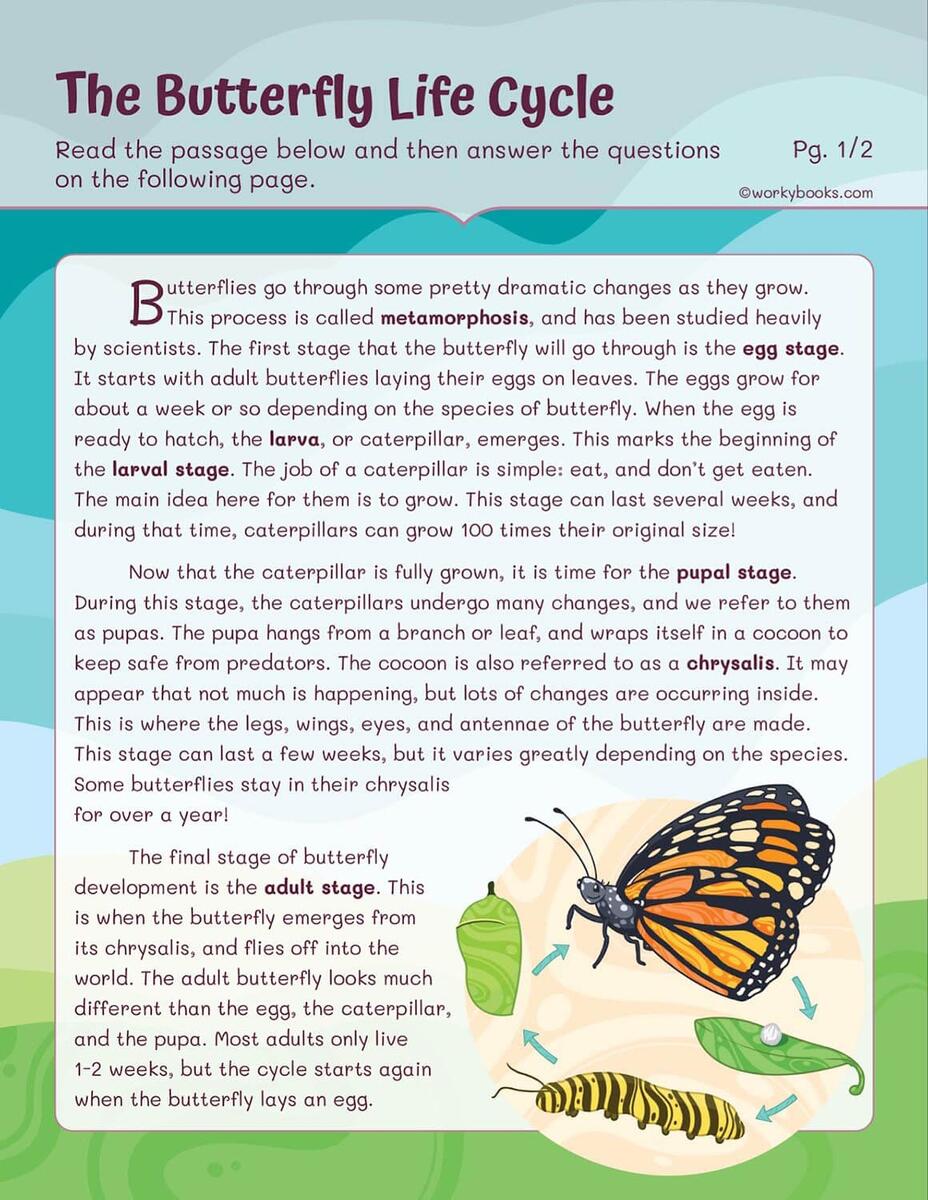 Life Cycles Worksheets Workybooks Life Cycles Worksheets Workybooks