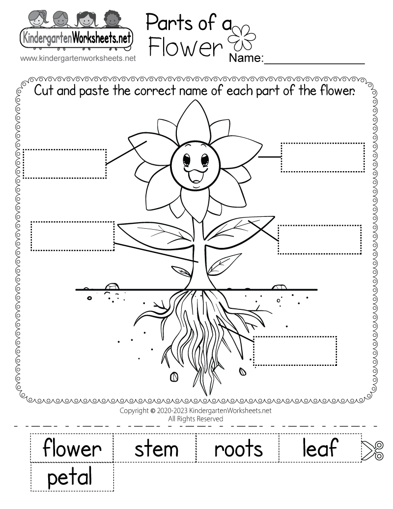 Parts Of A Flower Worksheet Free Printable Digital PDF Spring Flowers Worksheet Free Printable Digital PDF