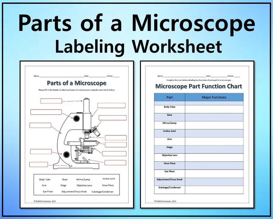 Parts Of A Microscope And Microscopy Study Guide
