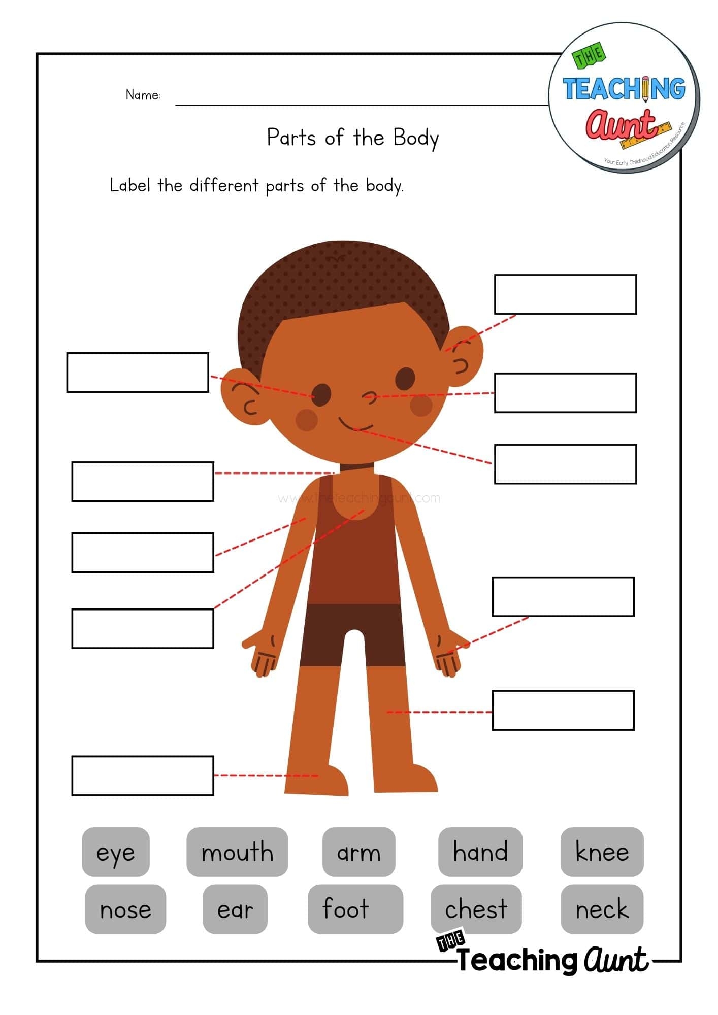 Parts Of The Body Worksheets The Teaching Aunt Parts Of The Body Worksheets The Teaching Aunt