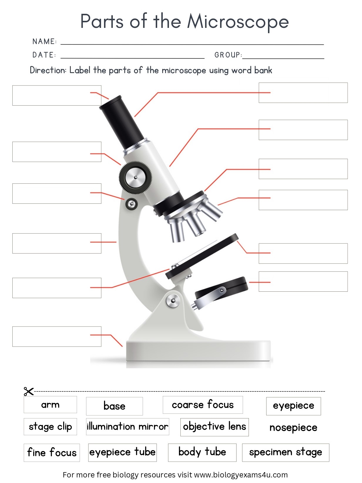 Parts Of The Microscope Worksheet With Answers Biology Worksheet Worksheets Library