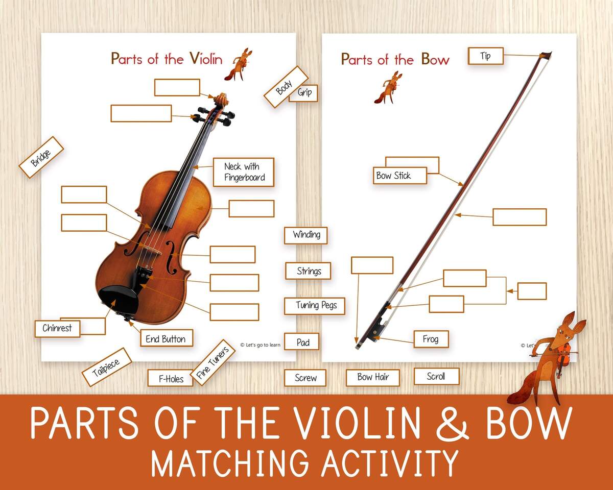 Parts Of The Violin Bow Matching Activity Answer Key Music School Musical Instruments String Instruments All Ages Homeschool Etsy Israel
