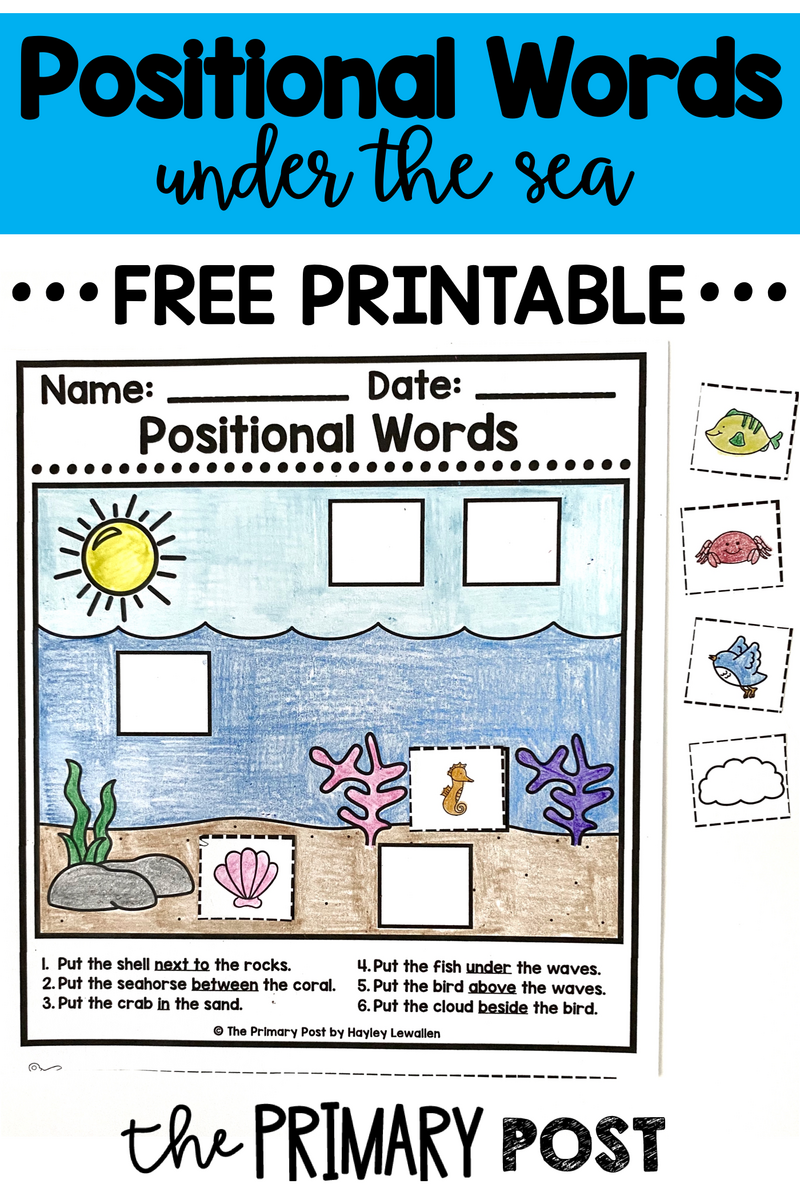Positional Words FREEBIE The Primary Post Worksheets Library