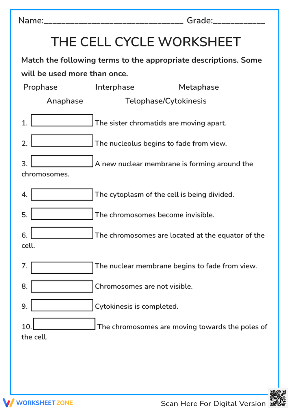 Printable 10th Grade Cell Organelles Worksheets