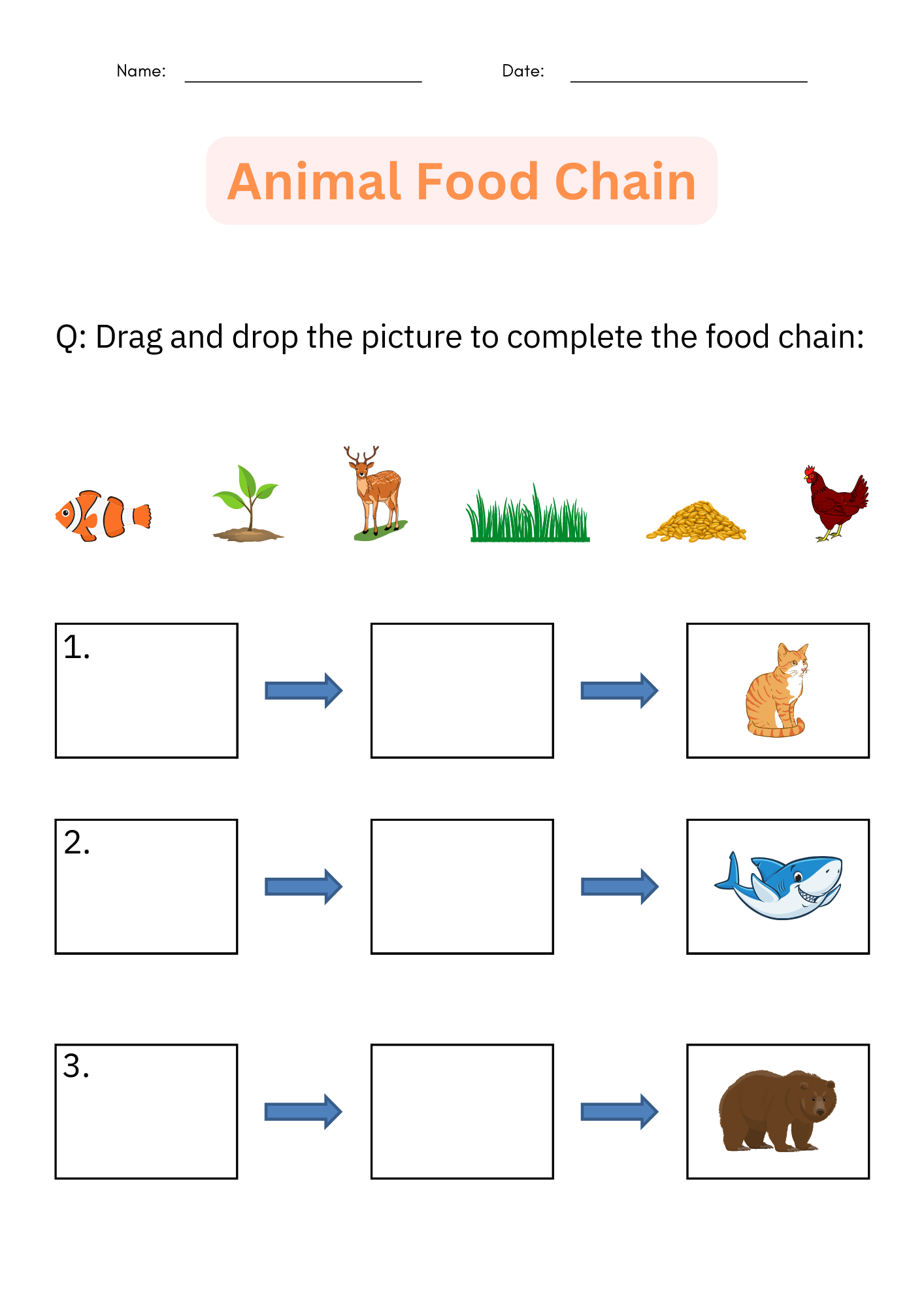 Printable Animal Food Chain Worksheet And Activity Cut And Paste For Grade 1 Made By Teachers Printable Animal Food Chain Worksheet And Activity Cut And Paste For Grade 1 Made By Teachers