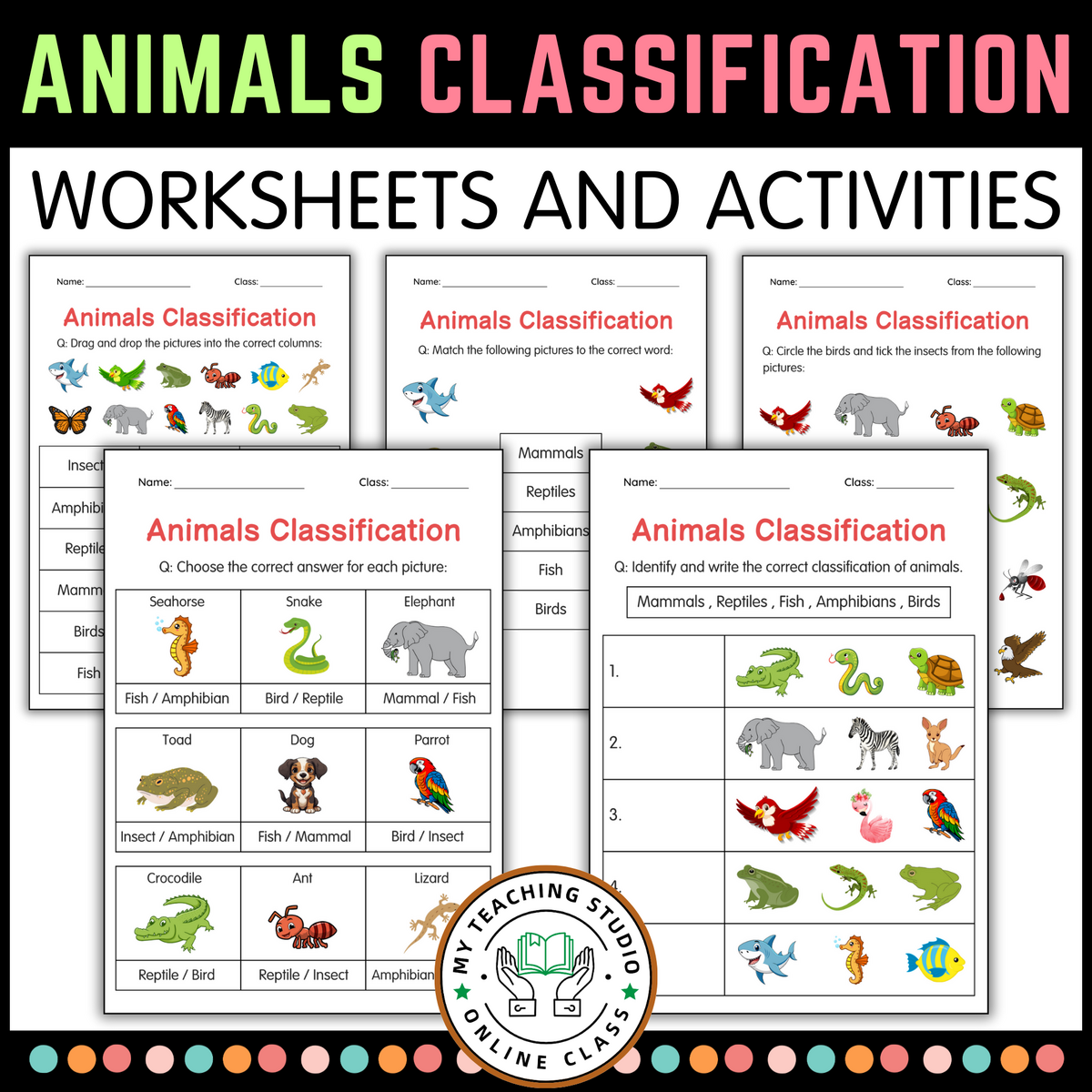 Printable Animals Classification Worksheets Animal Group Activity For Grade 2 Made By Teachers Printable Animals Classification Worksheets Animal Group Activity For Grade 2 Made By Teachers