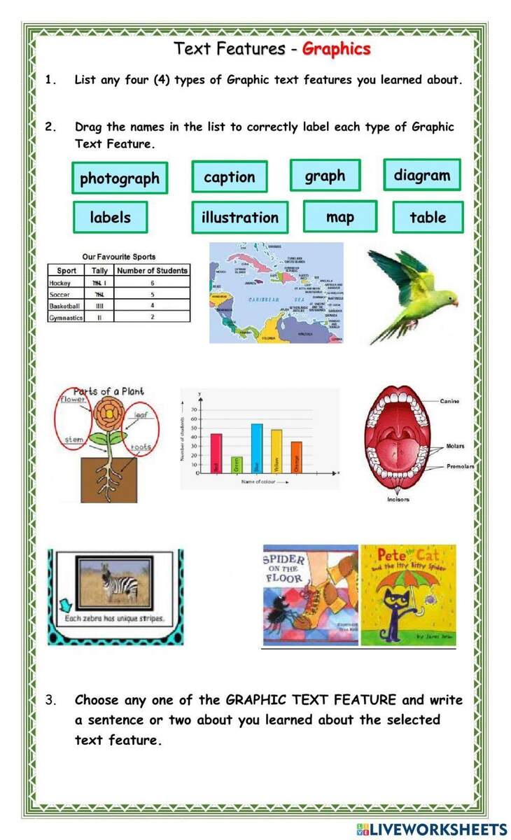 Text Features Graphics Worksheet Worksheets Library Text Features Graphics Worksheet Worksheets Library