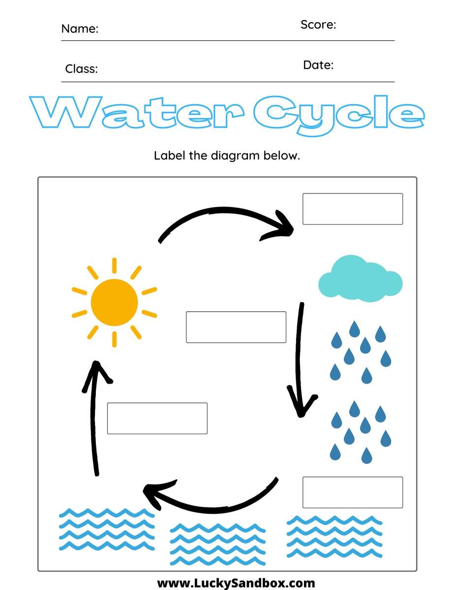 Water Cycle Worksheet Etsy 5th Grade Water Cycle Worksheets Printable